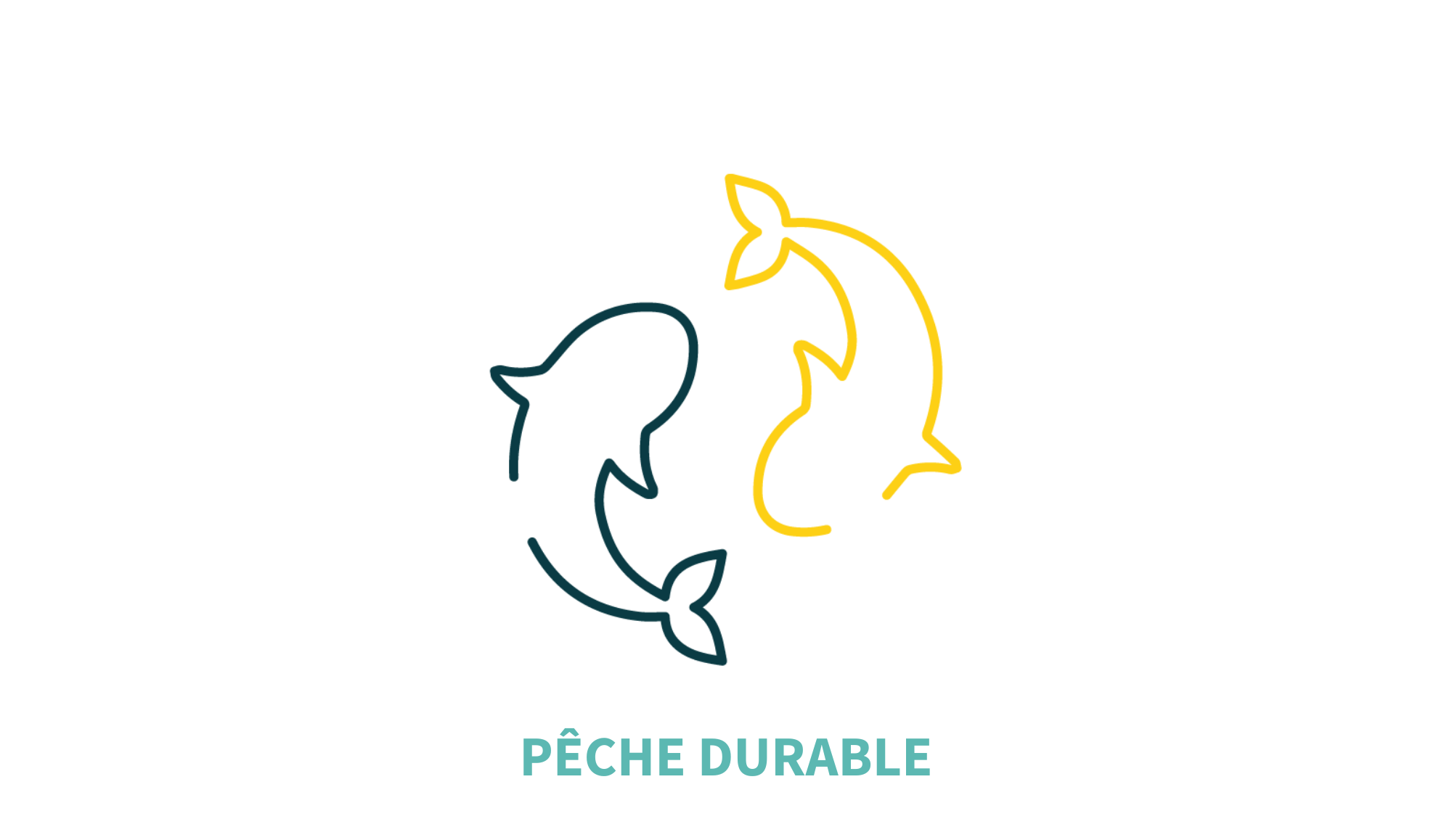 Room Saveurs s'engage à respecter les écosystèmes marins